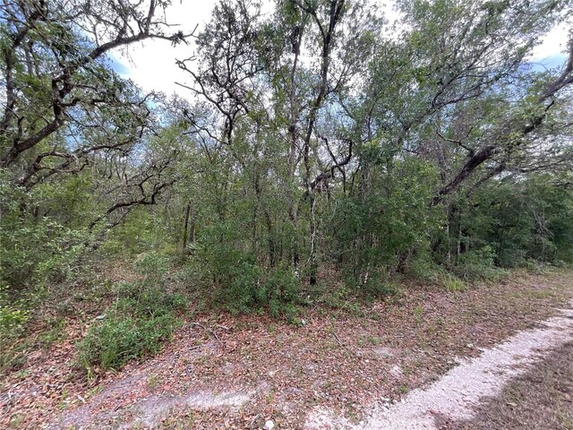 Faculty St, Webster, FL 33597