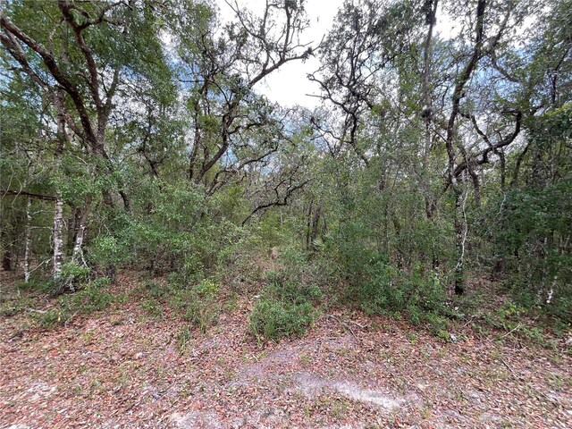 Faculty St, Webster, FL 33597