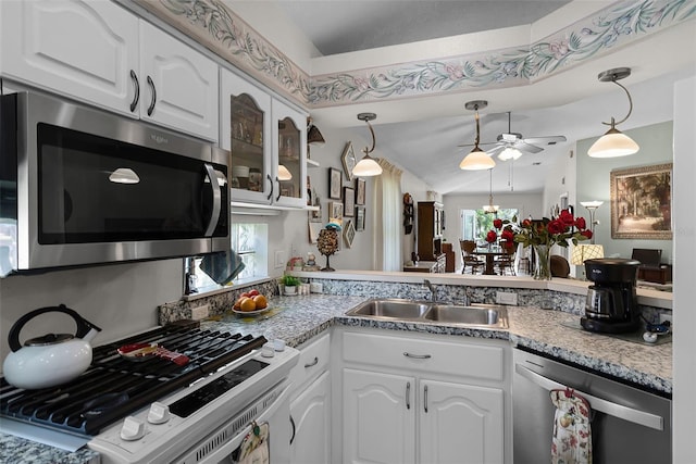 5500 Laver St, Leesburg, FL 34748 - kitchen featuring a ceiling fan, a sink, appliances with stainless steel finishes, and a wealth of natural light