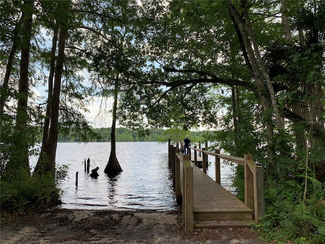 31857 Dahlia Ct, Eustis, FL 32736 - dock area featuring a water view