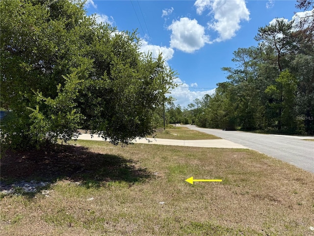 31857 Dahlia Ct, Eustis, FL 32736 - view of asphalt road