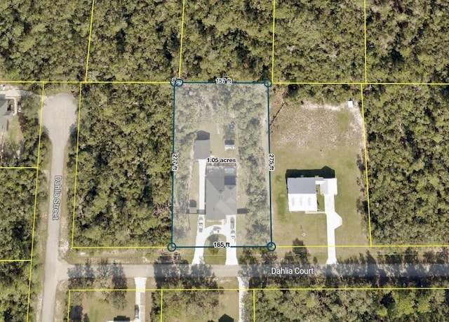 31857 Dahlia Ct, Eustis, FL 32736 - aerial map of property and surrounding area with property boundaries highlighted