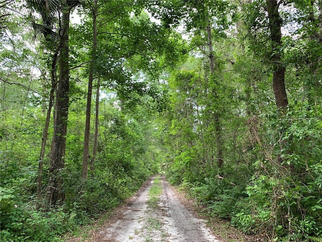 31857 Dahlia Ct, Eustis, FL 32736 - view of dirt / gravel road with a view of trees