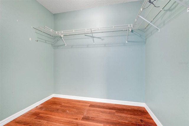 8709 Augusta Ct, Clermont, FL 34711 - walk in closet featuring wood finished floors
