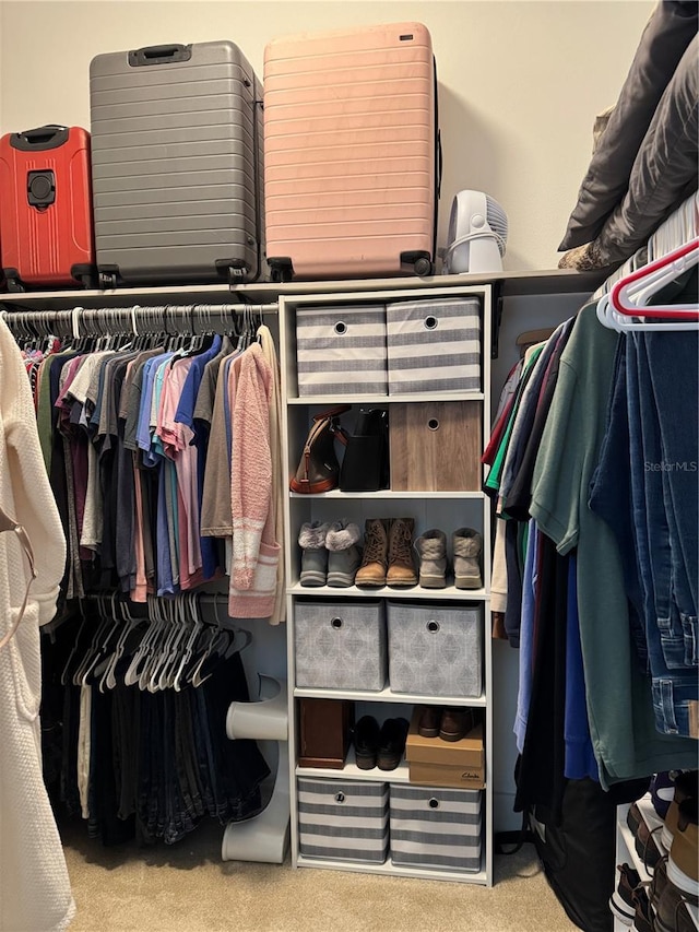 walk in closet featuring carpet floors