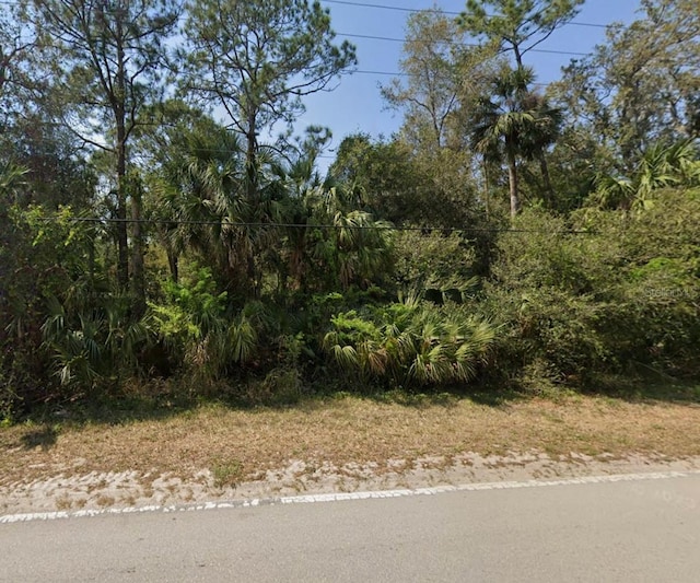 TBD Mullet Lake Park Rd, Geneva, FL 32732