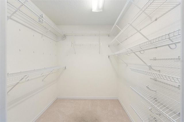 2750 Coral Reef Way, Tavares, FL 32778 - spacious closet featuring light carpet