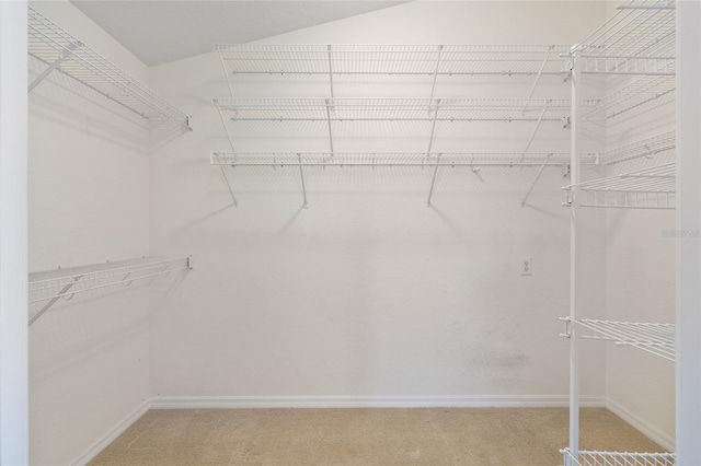 2750 Coral Reef Way, Tavares, FL 32778 - walk in closet featuring light carpet