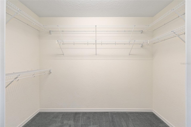 2750 Coral Reef Way, Tavares, FL 32778 - walk in closet with carpet floors