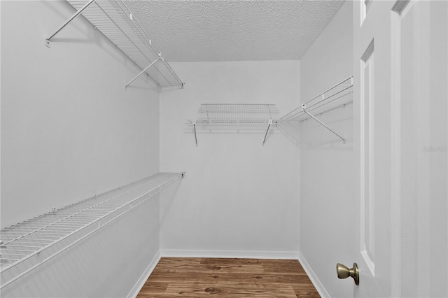 spacious closet with wood finished floors