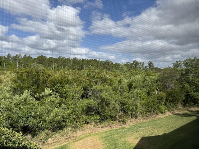 1288 Grady Ln, Davenport, FL 33896 - view of wooded area
