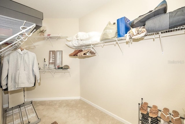 1288 Grady Ln, Davenport, FL 33896 - walk in closet featuring carpet floors