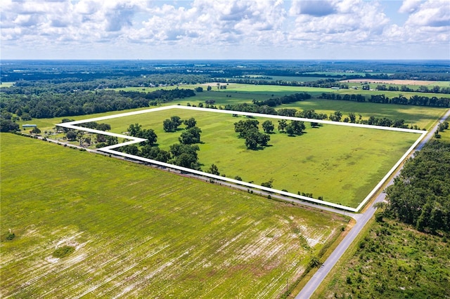 9510 228th Ter, Obrien, FL 32071