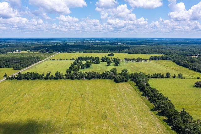 9510 228th Ter, Obrien, FL 32071