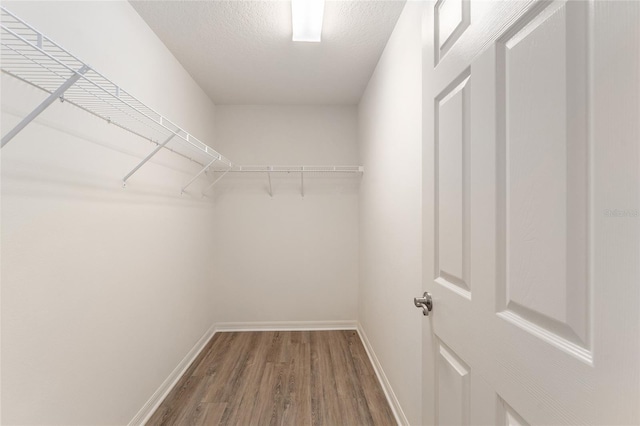 9181 SE 166th Sprung Ln, The Villages, FL 32162 - spacious closet featuring wood finished floors