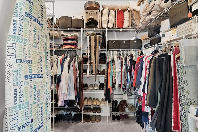 3433 Nestlebranch Ave, The Villages, FL 32163 - view of spacious closet
