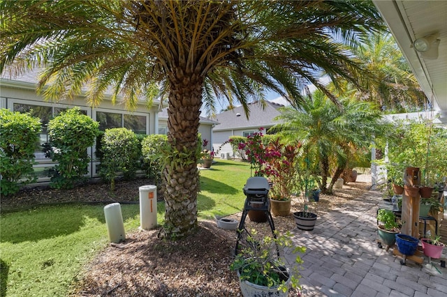 3433 Nestlebranch Ave, The Villages, FL 32163 - view of yard featuring a patio area