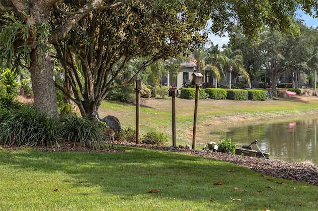 8167 Bridgeport Bay Cir, Mount Dora, FL 32757 - view of grassy yard with a water view