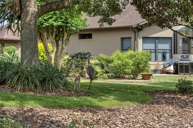 8167 Bridgeport Bay Cir, Mount Dora, FL 32757 - back of house with stucco siding and a yard