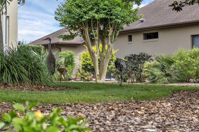 8167 Bridgeport Bay Cir, Mount Dora, FL 32757 - view of yard