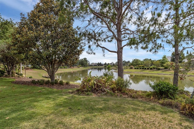 8167 Bridgeport Bay Cir, Mount Dora, FL 32757 - water view