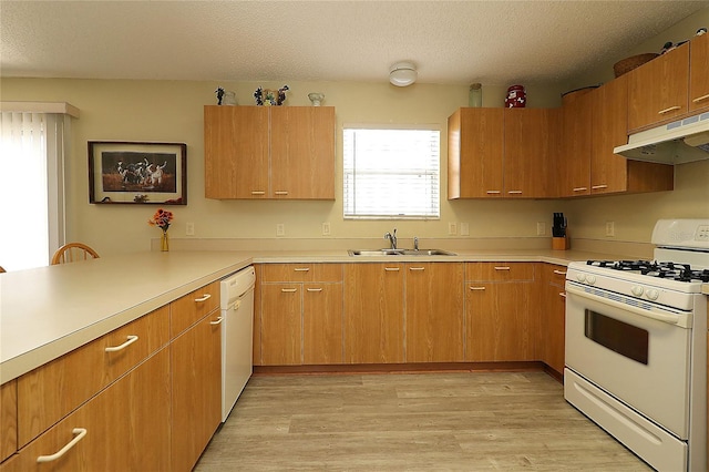 1482 Azteca Loop, The Villages, FL 32162 - kitchen featuring under cabinet range hood, white appliances, light wood finished floors, a sink, and light countertops