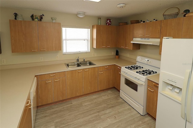 1482 Azteca Loop, The Villages, FL 32162 - kitchen with light wood-style flooring, a sink, white appliances, under cabinet range hood, and light countertops