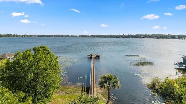 property view of water
