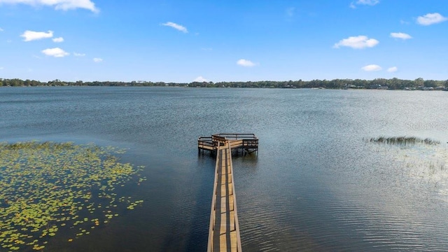 property view of water