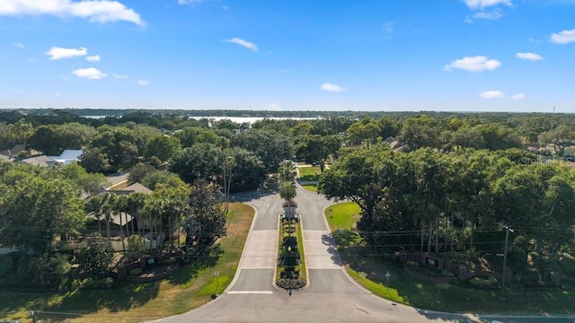 drone / aerial view