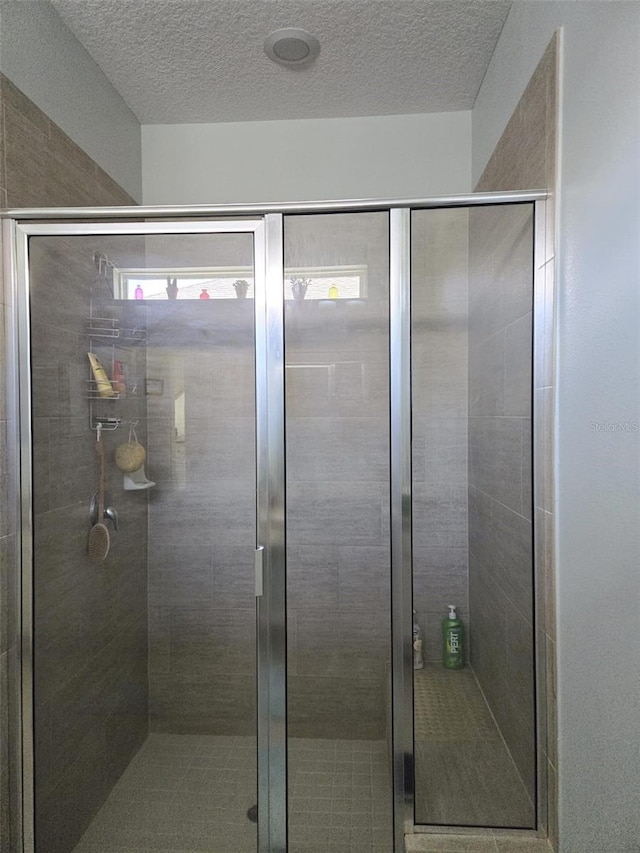 1231 Merion Dr, Mount Dora, FL 32757 - full bath featuring a stall shower and a textured ceiling