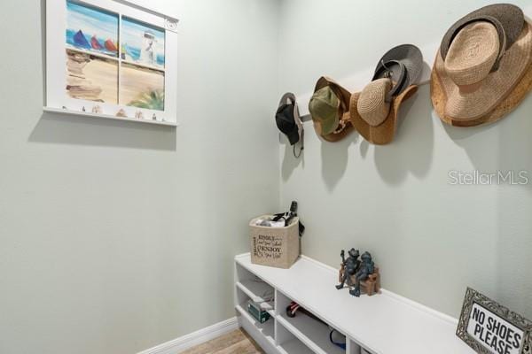 1231 Merion Dr, Mount Dora, FL 32757 - mudroom with baseboards and light wood-type flooring