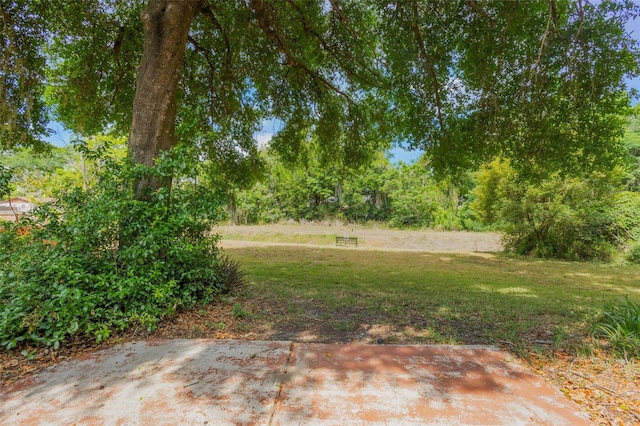 8410 Lake Bosse Dr, Orlando, FL 32810 - view of grassy yard