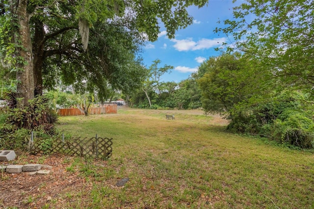 8410 Lake Bosse Dr, Orlando, FL 32810 - view of yard
