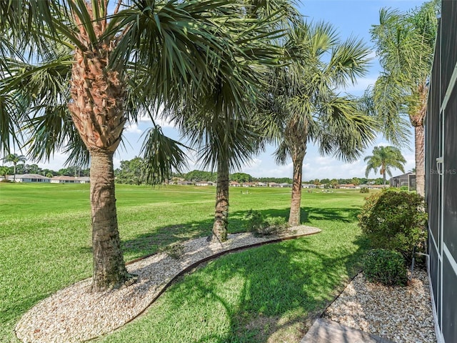 11820 SE 178th St, Summerfield, FL 34491 - view of grassy yard