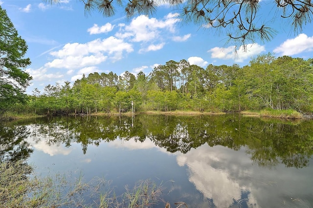 34 Gordon Ct, Leesburg, FL 34788 - photo 23