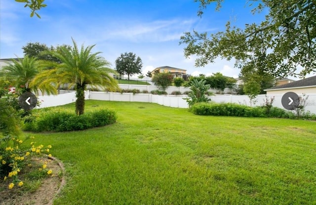 356 Giovani Blvd, Clermont, FL 34715 - view of yard