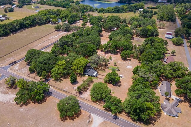 43411 State Road 19, Altoona, FL 32702 - aerial view of a tree filled landscape