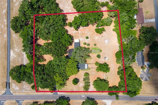 43411 State Road 19, Altoona, FL 32702 - aerial view of property and surrounding area featuring property boundaries highlighted