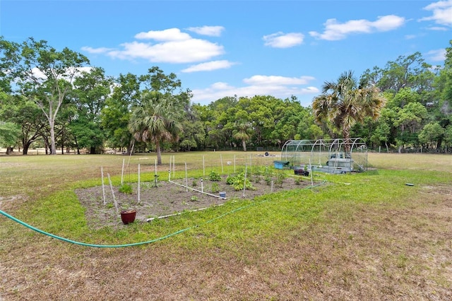 43411 State Road 19, Altoona, FL 32702 - view of grassy yard featuring a garden