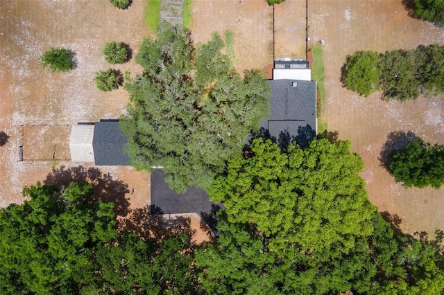 43411 State Road 19, Altoona, FL 32702 - drone / aerial view