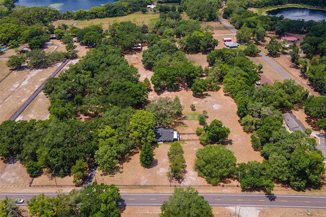 43411 State Road 19, Altoona, FL 32702 - bird's eye view of a large body of water