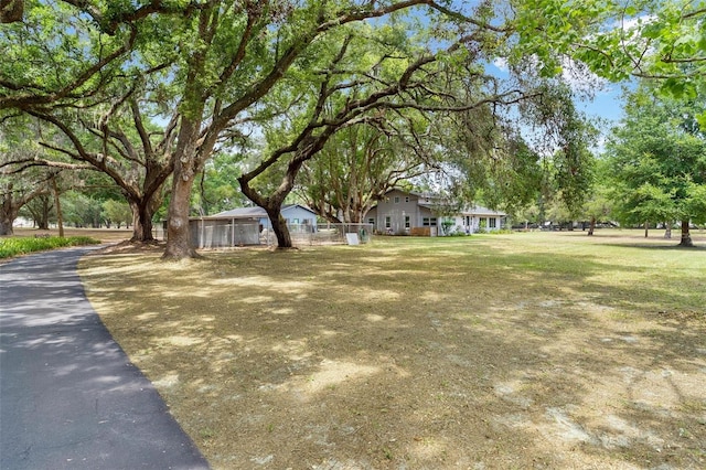 43411 State Road 19, Altoona, FL 32702 - view of yard featuring fence