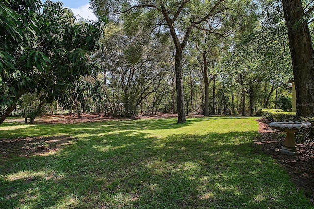 35350 County Road 439, Eustis, FL 32726 - photo 25