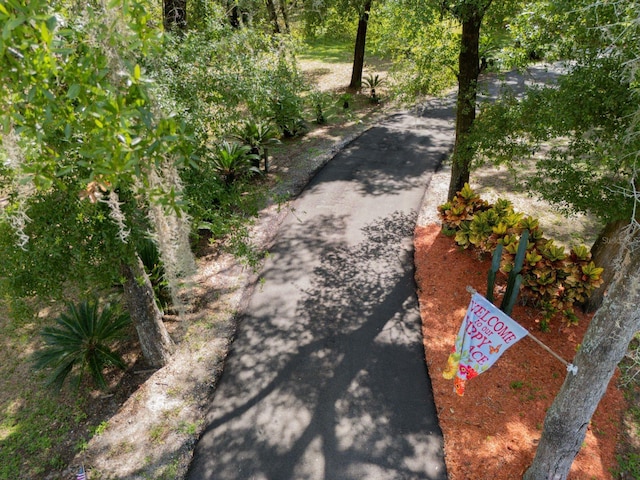 35350 County Road 439, Eustis, FL 32726 - photo 48