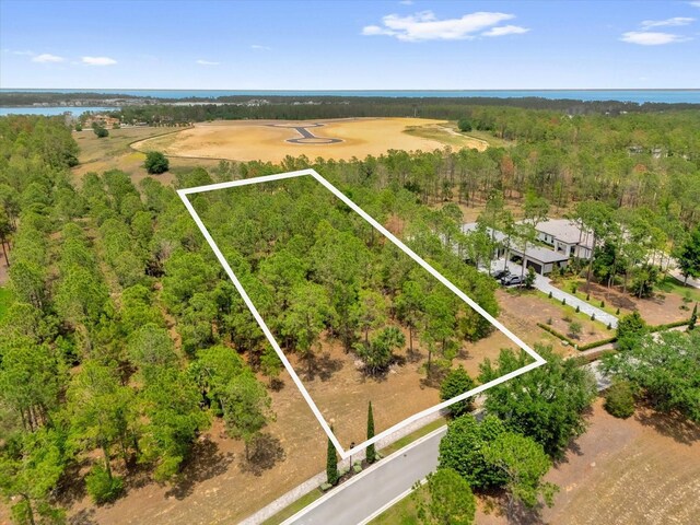 16250 Pendio Dr, Montverde, FL 34756 - photo 5