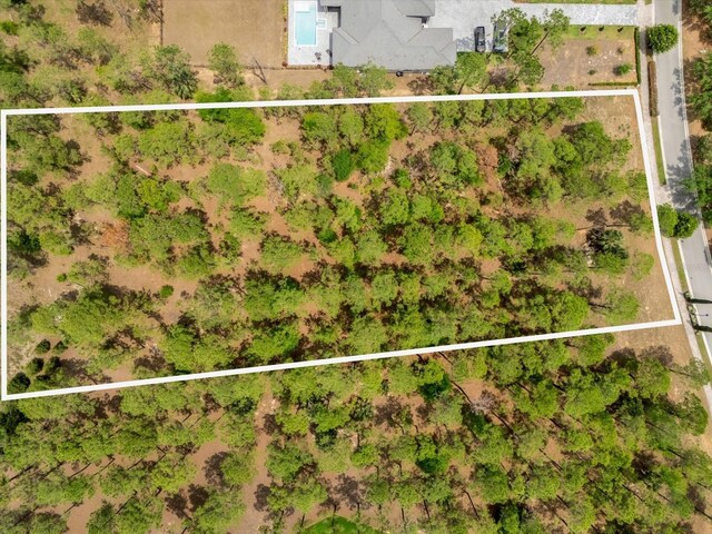 16250 Pendio Dr, Montverde, FL 34756 - photo 7