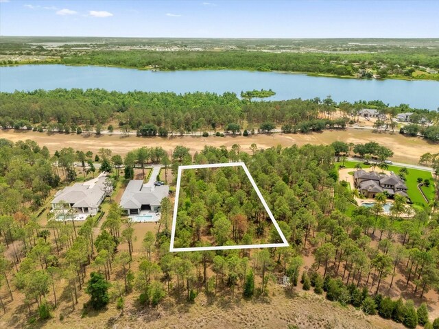 16250 Pendio Dr, Montverde, FL 34756 - photo 8