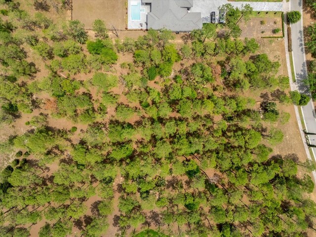 16250 Pendio Dr, Montverde, FL 34756 - photo 9