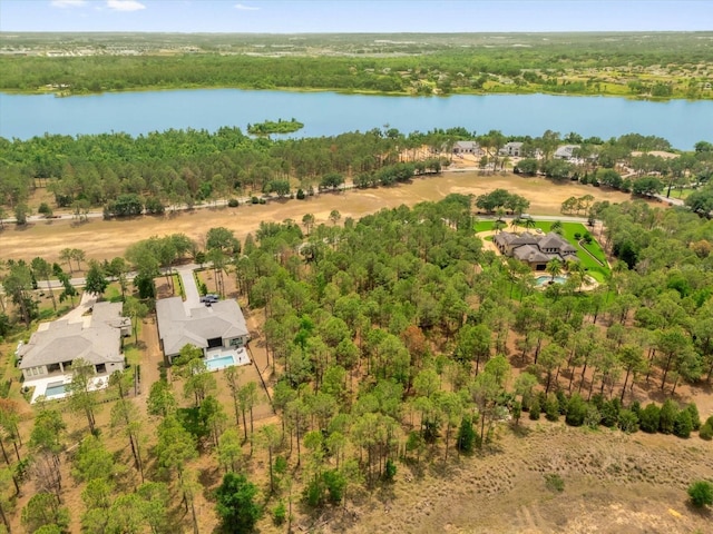 16250 Pendio Dr, Montverde, FL 34756 - photo 10